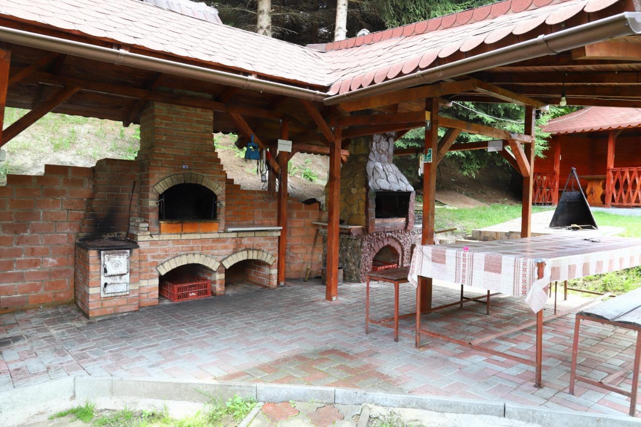 Pensiunea Dealul Frumos برانْ المظهر الخارجي الصورة